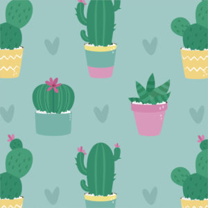 Cactos